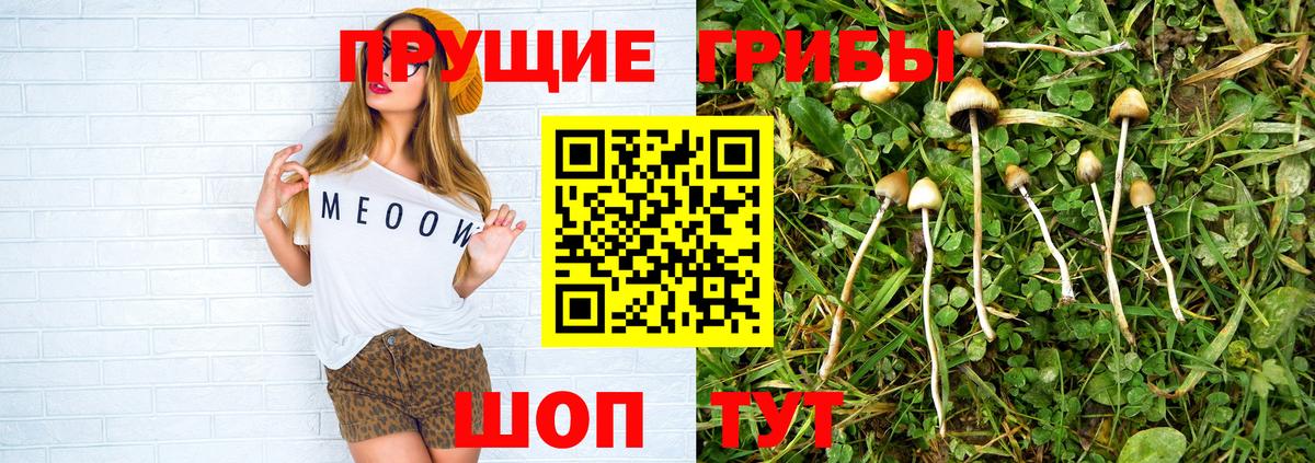 Галлюциногенные грибы прущие грибы Сегежа