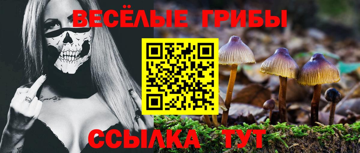 Галлюциногенные грибы Psilocybine cubensis  дарнет шоп  Сегежа  Вход с VPN  Псилоцибиновые грибы Magic Shrooms 